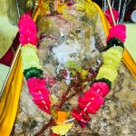 WhatsApp Image 2026-02-16 at 3.08.03 PM