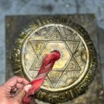 WhatsApp Image 2026-02-16 at 3.10.06 PM